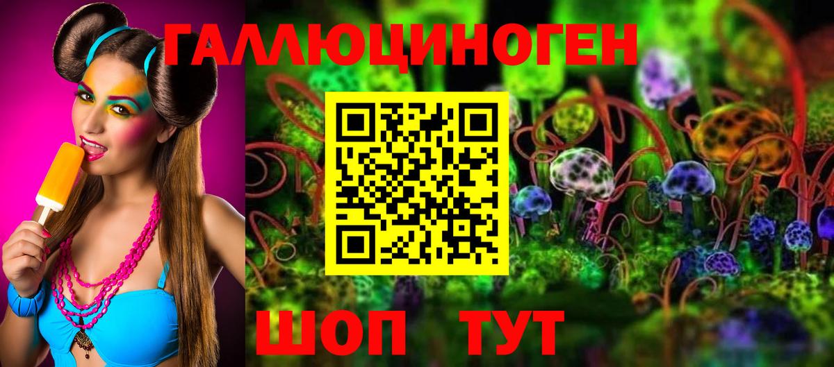 Псилоцибиновые грибы Cubensis  Вход с VPN  Юрга  Псилоцибиновые грибы мицелий 