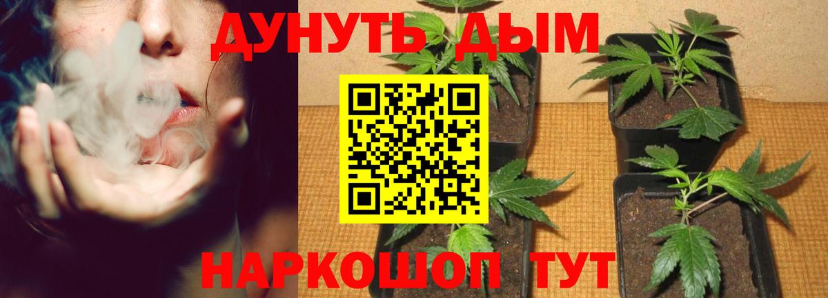 Конопля марихуана  Конопля планчик  МАРИХУАНА планчик  МАРИХУАНА AK-47  Вход с VPN  Юрга 
